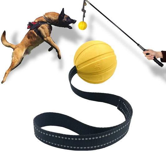 Balls On a Rope Dogs Chewers