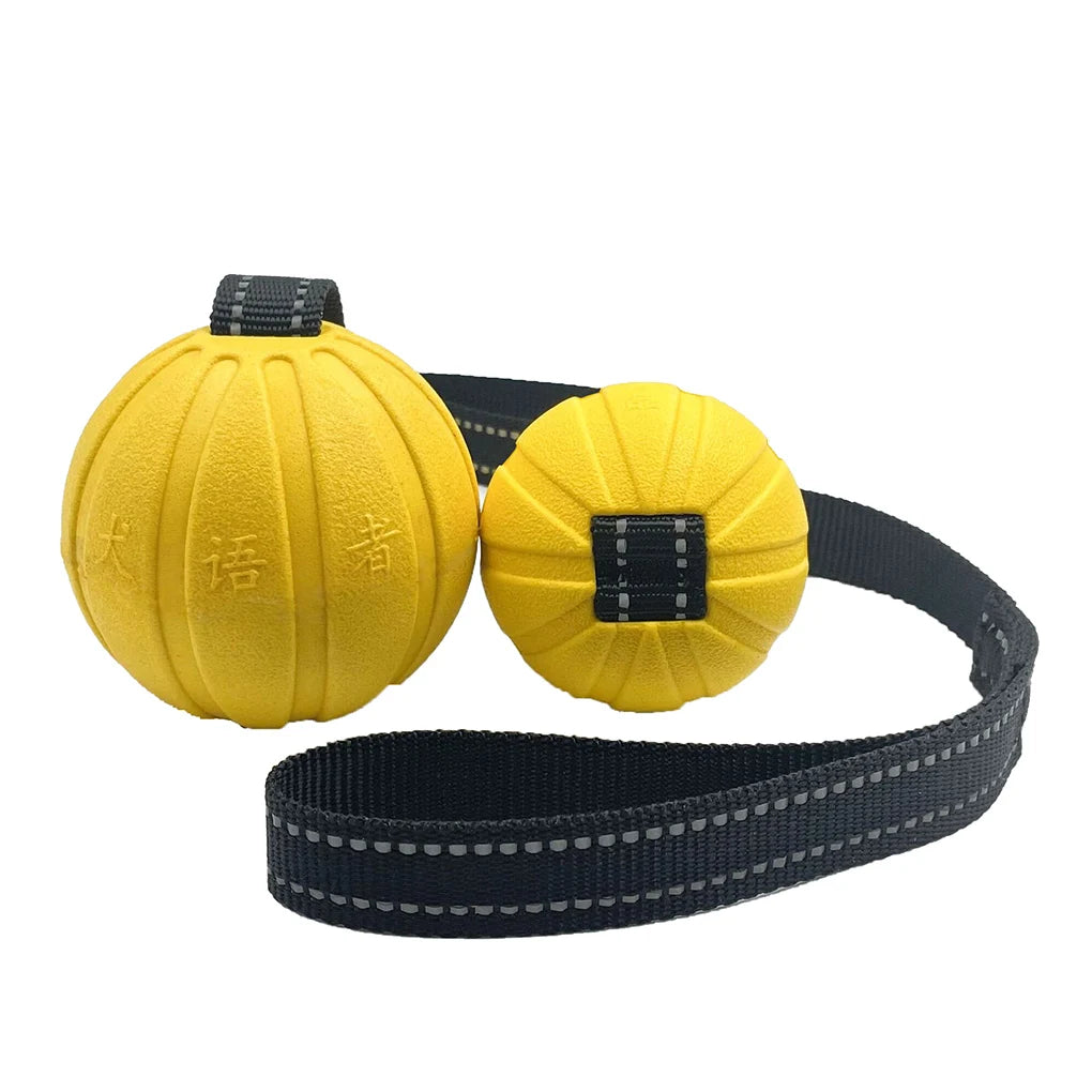 Balls On a Rope Dogs Chewers