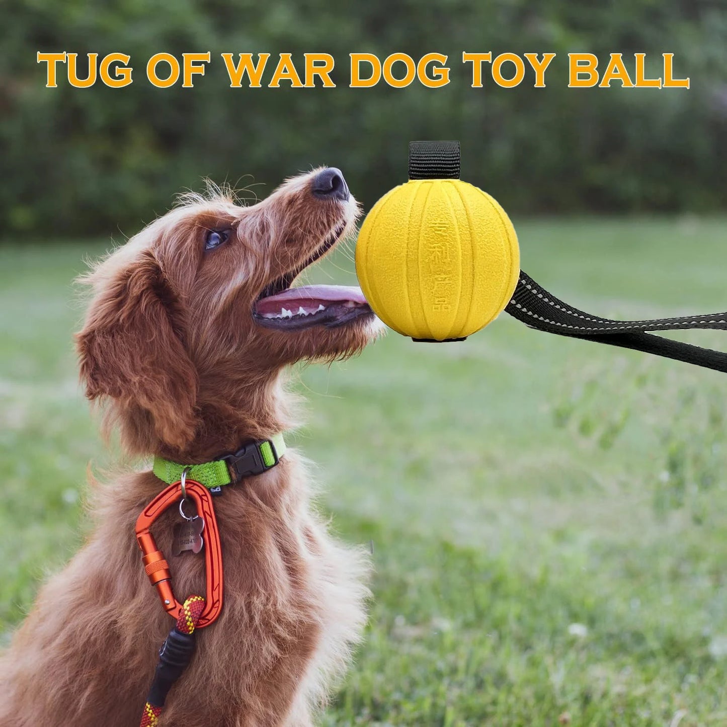 Balls On a Rope Dogs Chewers