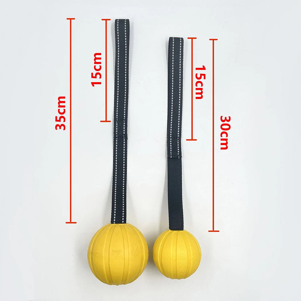 Balls On a Rope Dogs Chewers