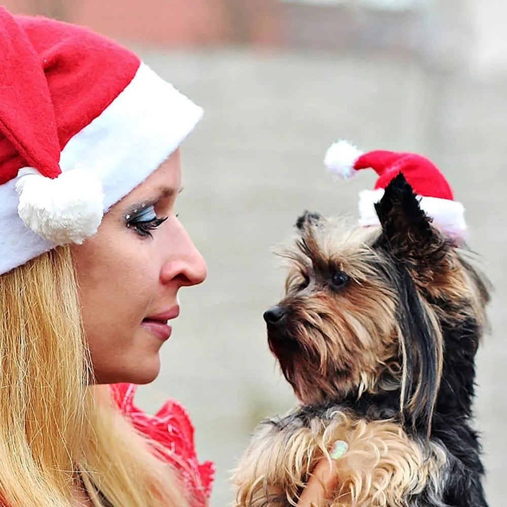 Christmas Pet Clothes for Dogs Xmas Santa Cat Costume Winter Warm Cat Coat Jacket Fleece Puppy Hoodies Kitten Small Dog Apparel
