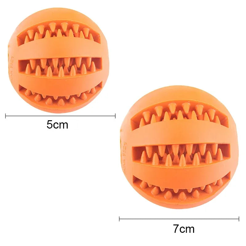 Dog Ball Chew Toy