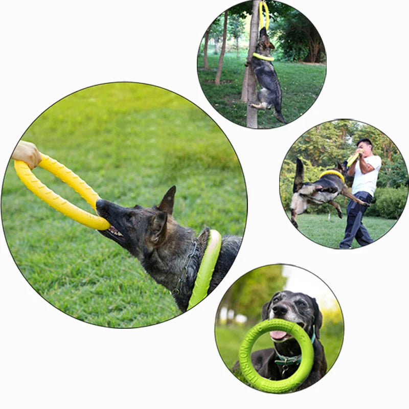 Pet Flying Disk Training Toys