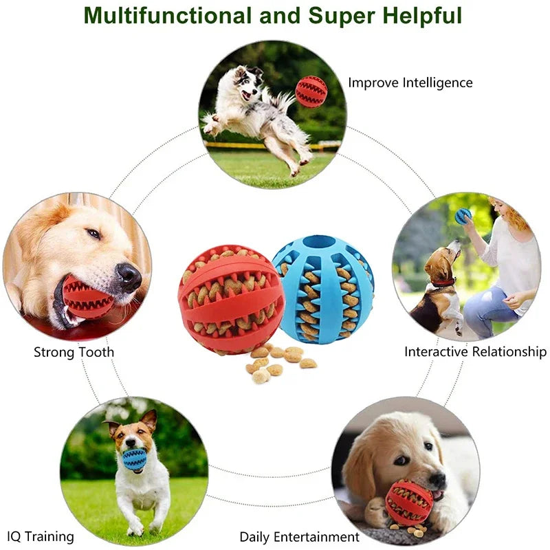 Dog Ball Chew Toy