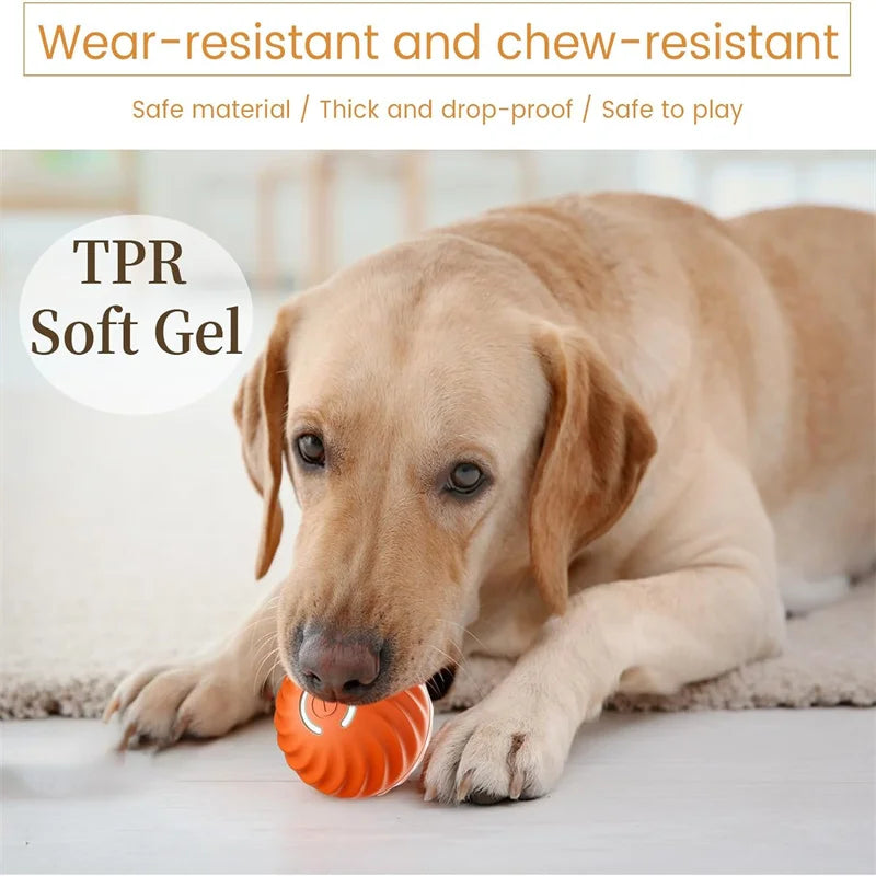Ball Electronic Interactive Pet Toy