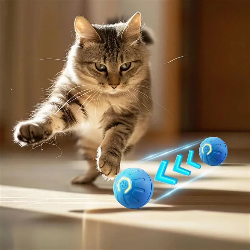 Ball Electronic Interactive Pet Toy