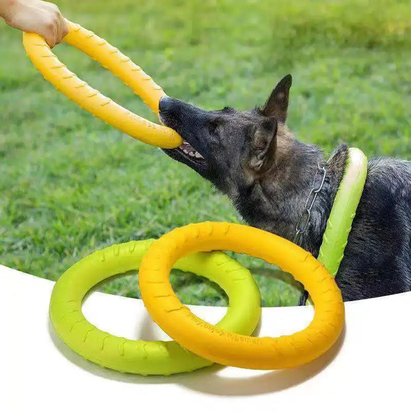 Pet Flying Disk Training Toys