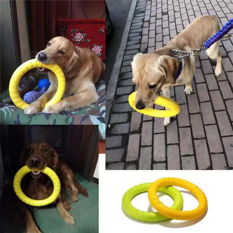 Pet Flying Disk Training Toys