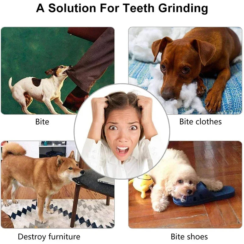 Dog Ball Chew Toy