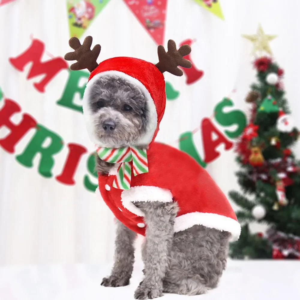Christmas Pet Clothes for Dogs Xmas Santa Cat Costume Winter Warm Cat Coat Jacket Fleece Puppy Hoodies Kitten Small Dog Apparel
