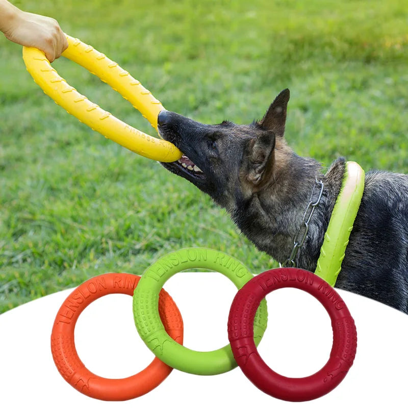 Pet Flying Disk Training Toys