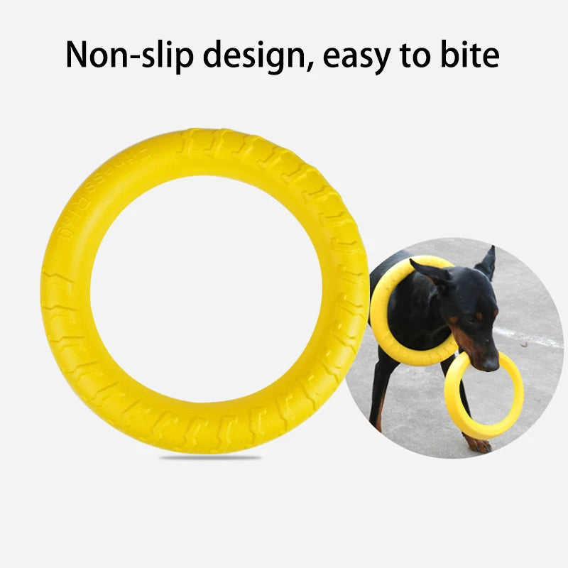Pet Flying Disk Training Toys