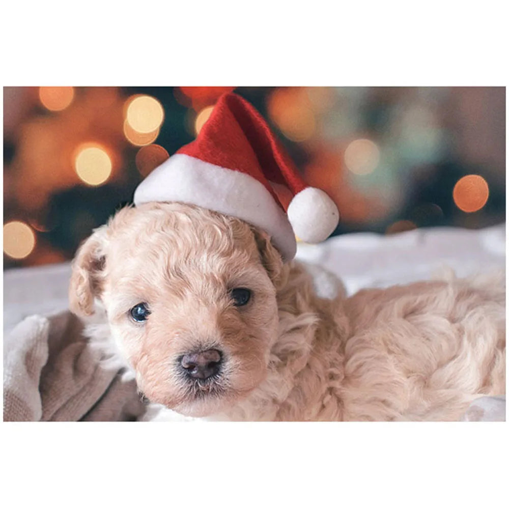 Christmas Pet Clothes for Dogs Xmas Santa Cat Costume Winter Warm Cat Coat Jacket Fleece Puppy Hoodies Kitten Small Dog Apparel