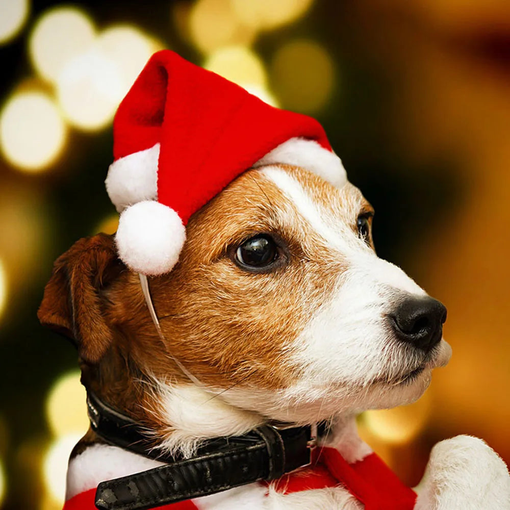 Christmas Pet Clothes for Dogs Xmas Santa Cat Costume Winter Warm Cat Coat Jacket Fleece Puppy Hoodies Kitten Small Dog Apparel
